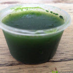 tarwegras vitamine boost superfood