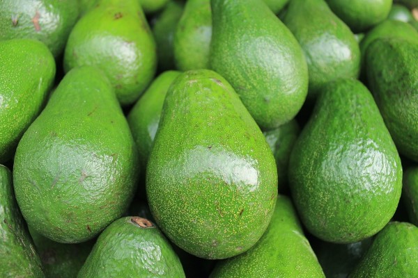 De rijpe avocado